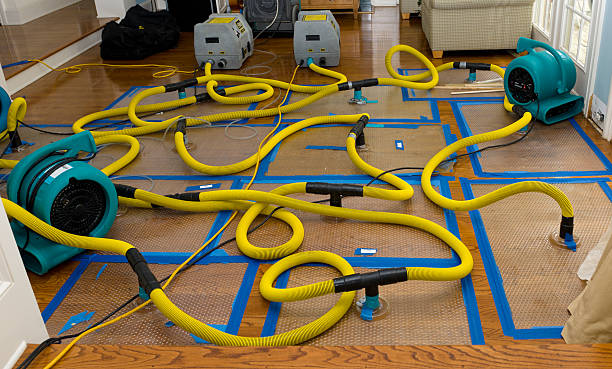 Professional Flood Damage Restoration technician working in Willard, UT